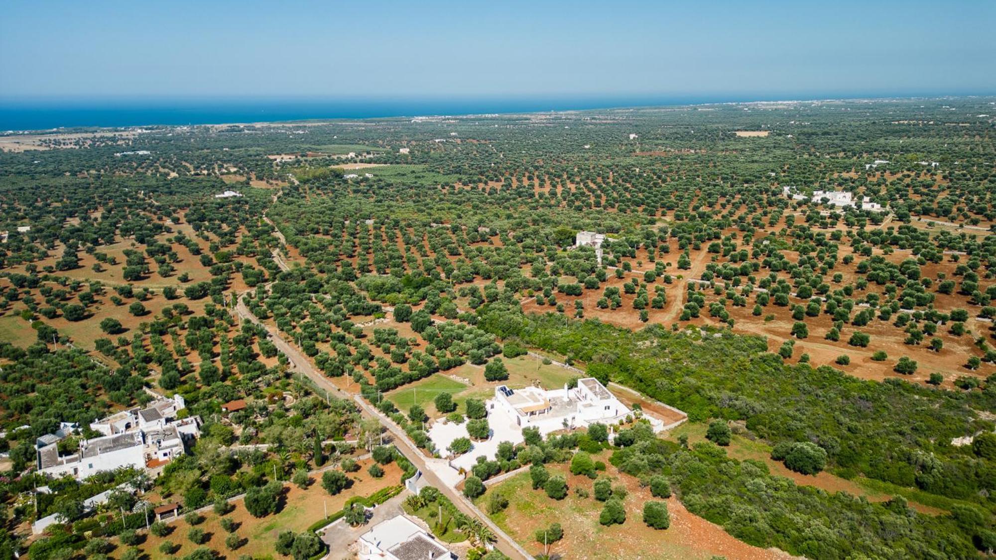 Masseria Abadia Uno Ostuni Exterior photo